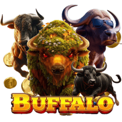 zeyabet games buffalo