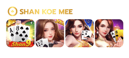 zeyabet shan koe mee No.1