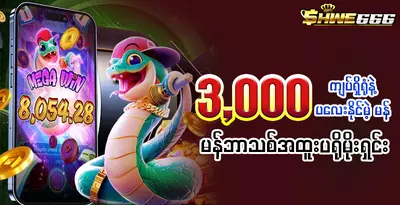 Shwe666-promotion02